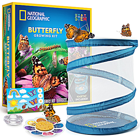 Learning Toys