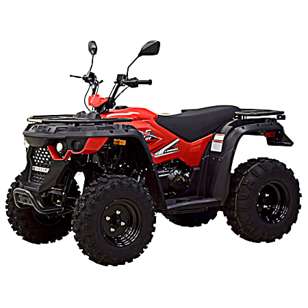Fleet farm mini 2025 bike