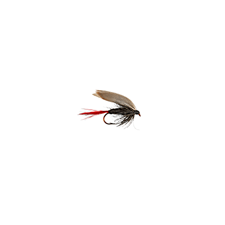 #12 Black Gnat Wet Fly - 2 Pk. 