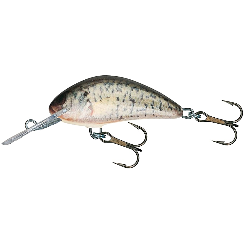 Salmo Fishing Lures and Baits in the Fleet Farm Fishing Department