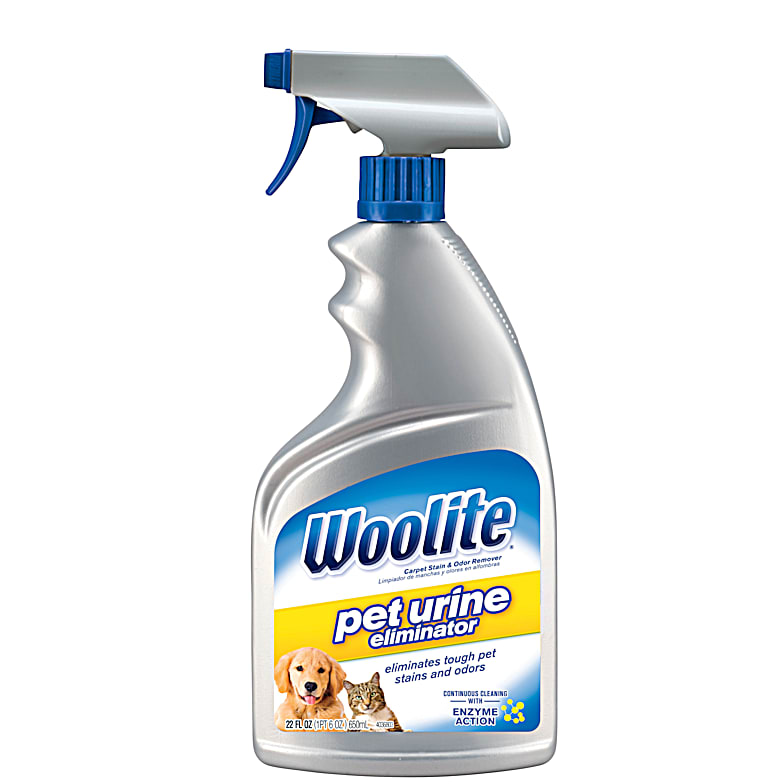 Woolite Pet Stain & Odor Remover + Sanitize, Advanced - 22 fl oz