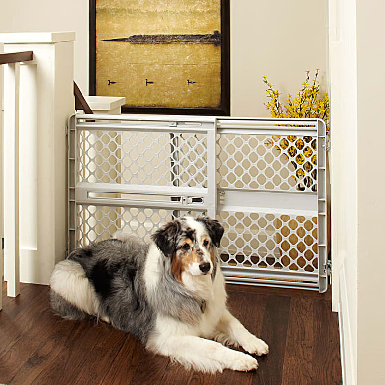 Mills fleet farm dog crates cheap