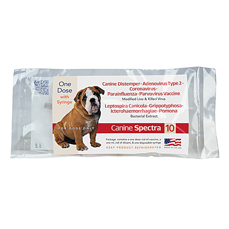 10 way shot for puppies on sale