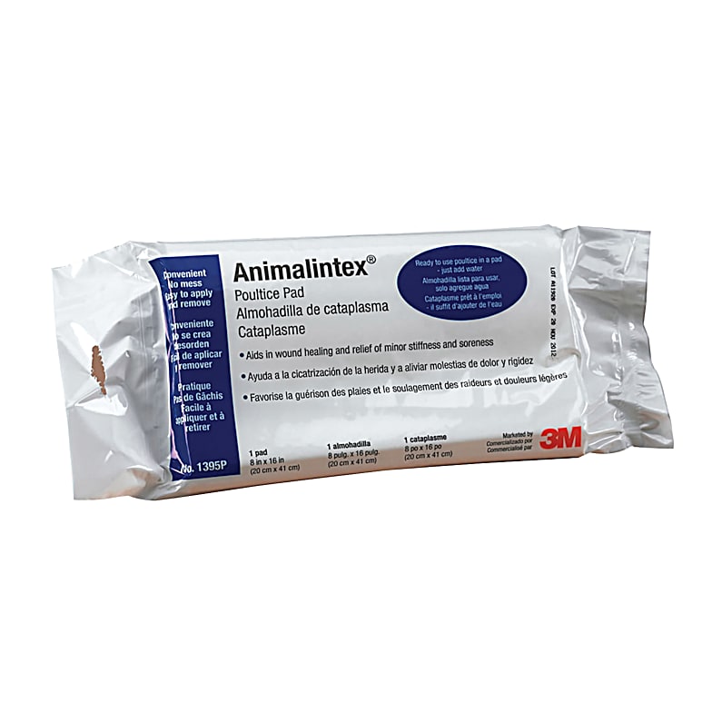 3M Animalintex Hoof Poultice Pad, 8 in. x 16 in. at Tractor Supply Co.
