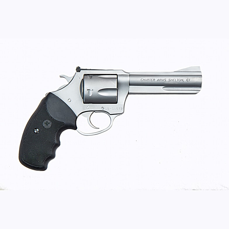 Raging Hunter .44 Magnum Black/Stainless Single/Double-Action Revolver by  Taurus at Fleet Farm