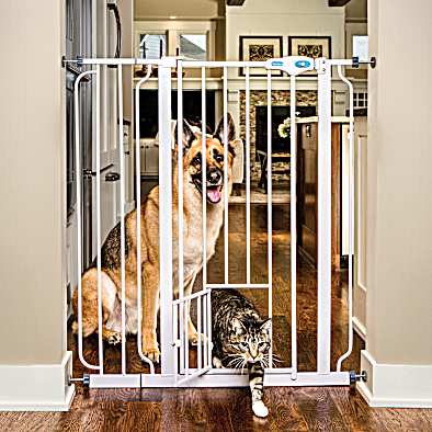 Pet gate with small pet door cheap