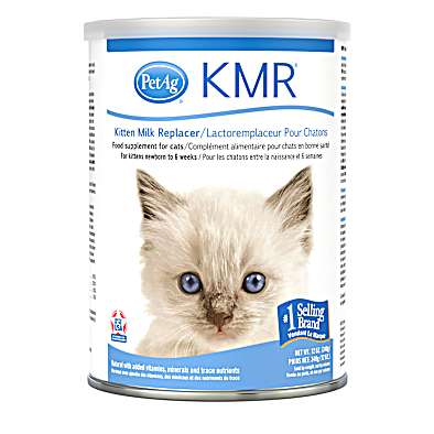 Bear brand milk for kitten new arrivals