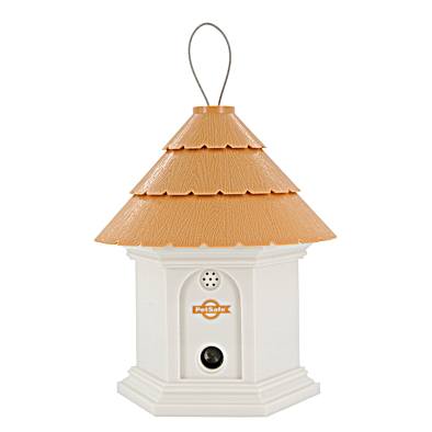 Petsafe deluxe outdoor bark control new arrivals