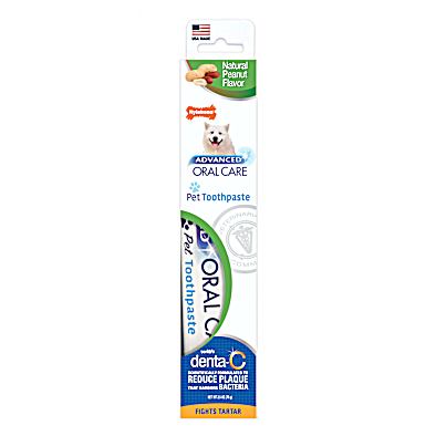 Nylabone Advanced Oral Care Natural Dog Toothpaste Peanut Flavor 2.5 oz tube