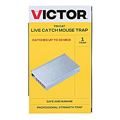 Live Catch Mouse Trap Clear Window Design Resuable Mice Traps For Home Kitchen Hotel Supermarket Warehouse