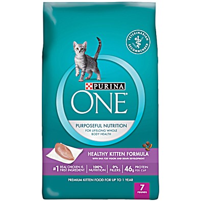 ONE Healthy Kitten Formula Dry Cat Food by Purina at Fleet Farm
