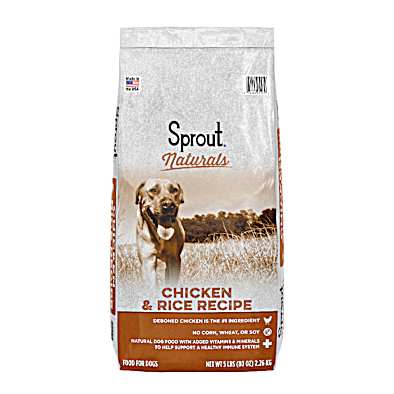 Orlando grain free dog food top