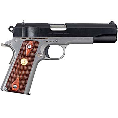 Classic GOVERNMENT Series .45 ACP 5 in. Barrel, Stainless