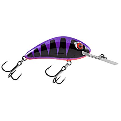 alaska long handle fish dip-net Family Fun Dip Net Fishing in Alaska-the Annual Frontier Fishing Adventure