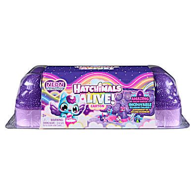 Alive Neon Rainbow Carton by Hatchimals at Fleet Farm