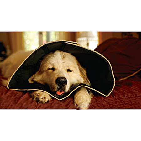 Comfy Cone E-Collar