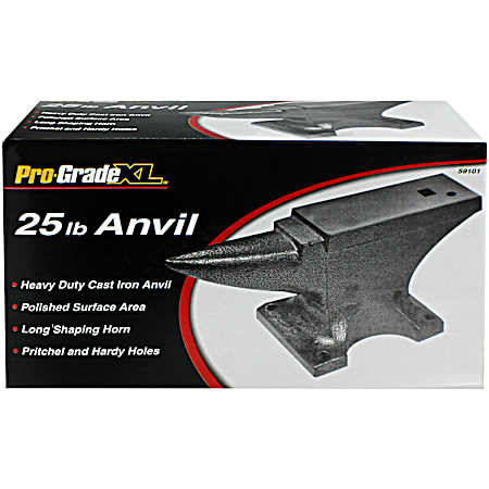 25 Lb. Anvil