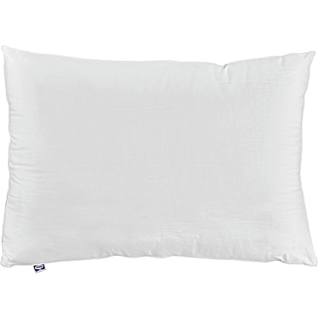 Extra Firm Standard Queen White Pillow
