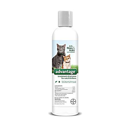 8 oz Cat & Kitten Flea & Tick Treatment Shampoo