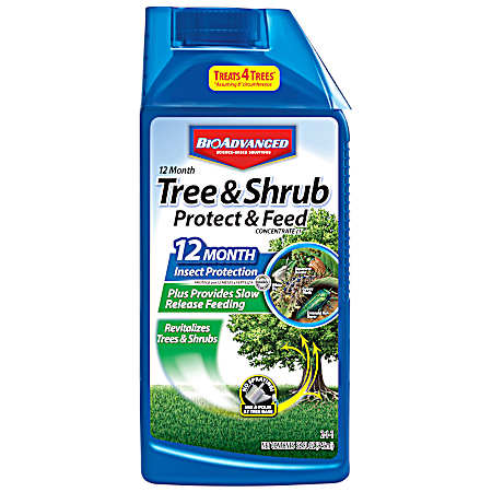 Tree & Shrub Protect & Feed
