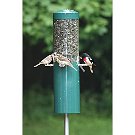 Green Classic Bird Feeder w/ Squirrel Baffle & Pole