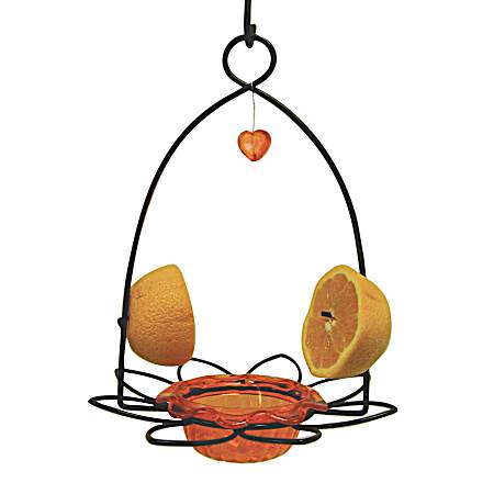 Oriole Flower Bird Feeder w/ Orange Pegs