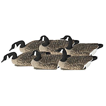 Harvester Pro-Grade XD Canada Floaters Waterfowl Decoy - 6 pk