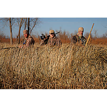 RealGrass - 4 pk Bag