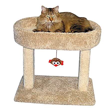 Kitty Cradle - Assorted