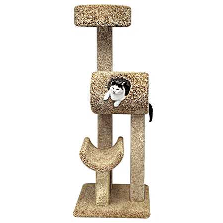 Kitty Climber - Assorted