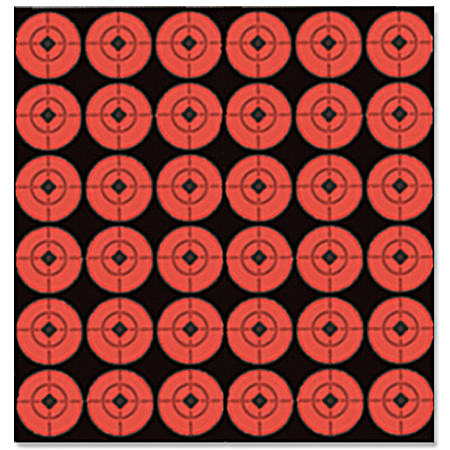 1 in Target Spots - 10 Pk