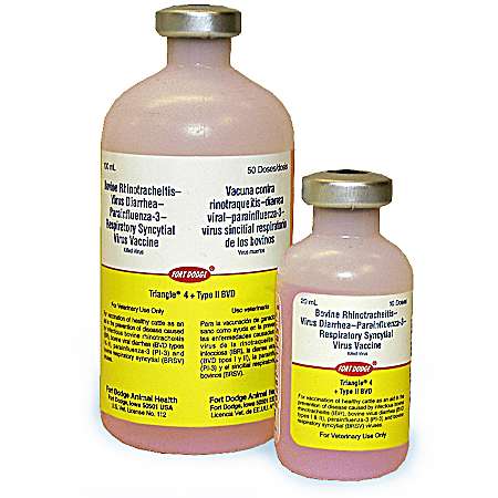 Triangle 4 + Type II BVD Vaccine