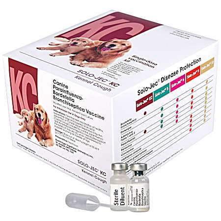 Kennel Cough Canine Vaccine - 1 Dose