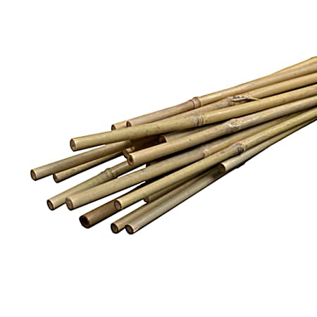 Natural Bamboo Stake