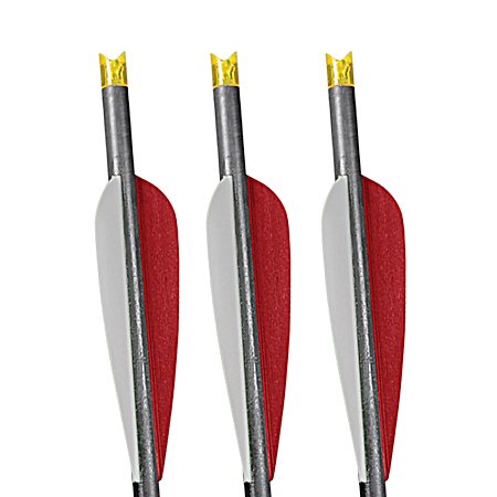 20 in Barnett Carbon Bolt w/HD Orange Crescent End - 3 pk
