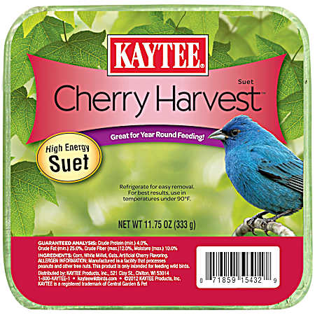 Cherry Harvest High Energy Suet Cake Wild Bird Food, 11.75 oz