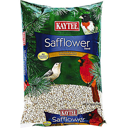 Safflower Seed Wild Bird Food, 10 lbs