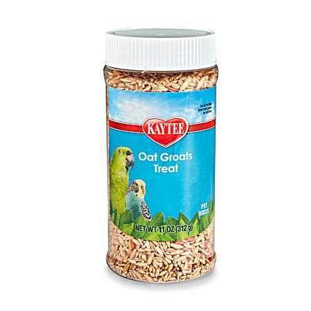 11 oz Oat Groats Treat for Pet Birds