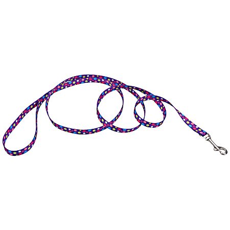 Styles Special Paw 6 ft Nylon Training Pet Leash