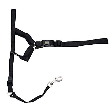 Black Head Halter