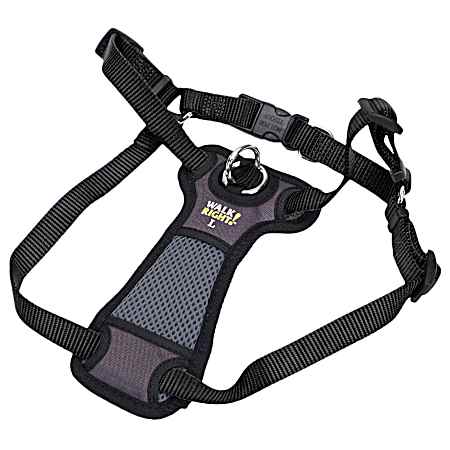 Front-Connect Padded Harness