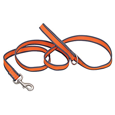 Pet Attire Pro Orange & Grey Dog Leash