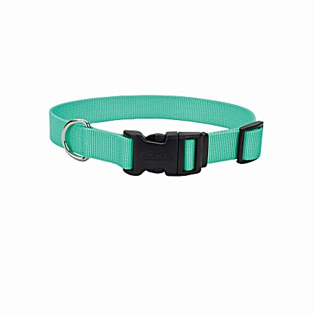 Teal Adjustable Nylon Dog Collar w/ Plastic Buckle