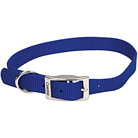 0.75 in Standard Single-Ply Nylon Dog Collar