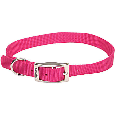 0.75 in Standard Single-Ply Nylon Dog Collar