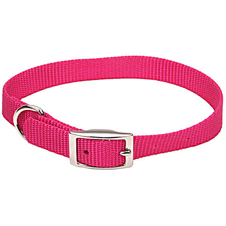 5/8 in x 16 in Standard Single-Ply Nylon Pet Collar