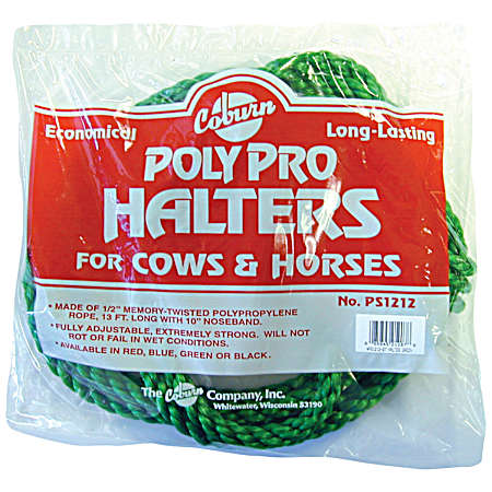 Cow & Horse Halter