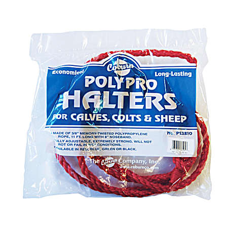 Calf  Colt  Goat & Sheep Halter