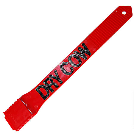 Dry Cow Red Leg Band