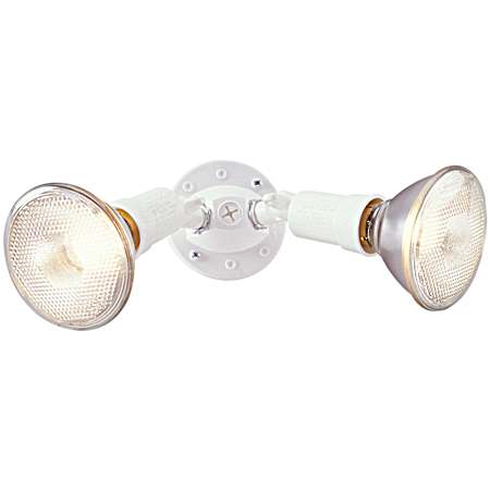 White 300W PAR Twin-Head Floodlight